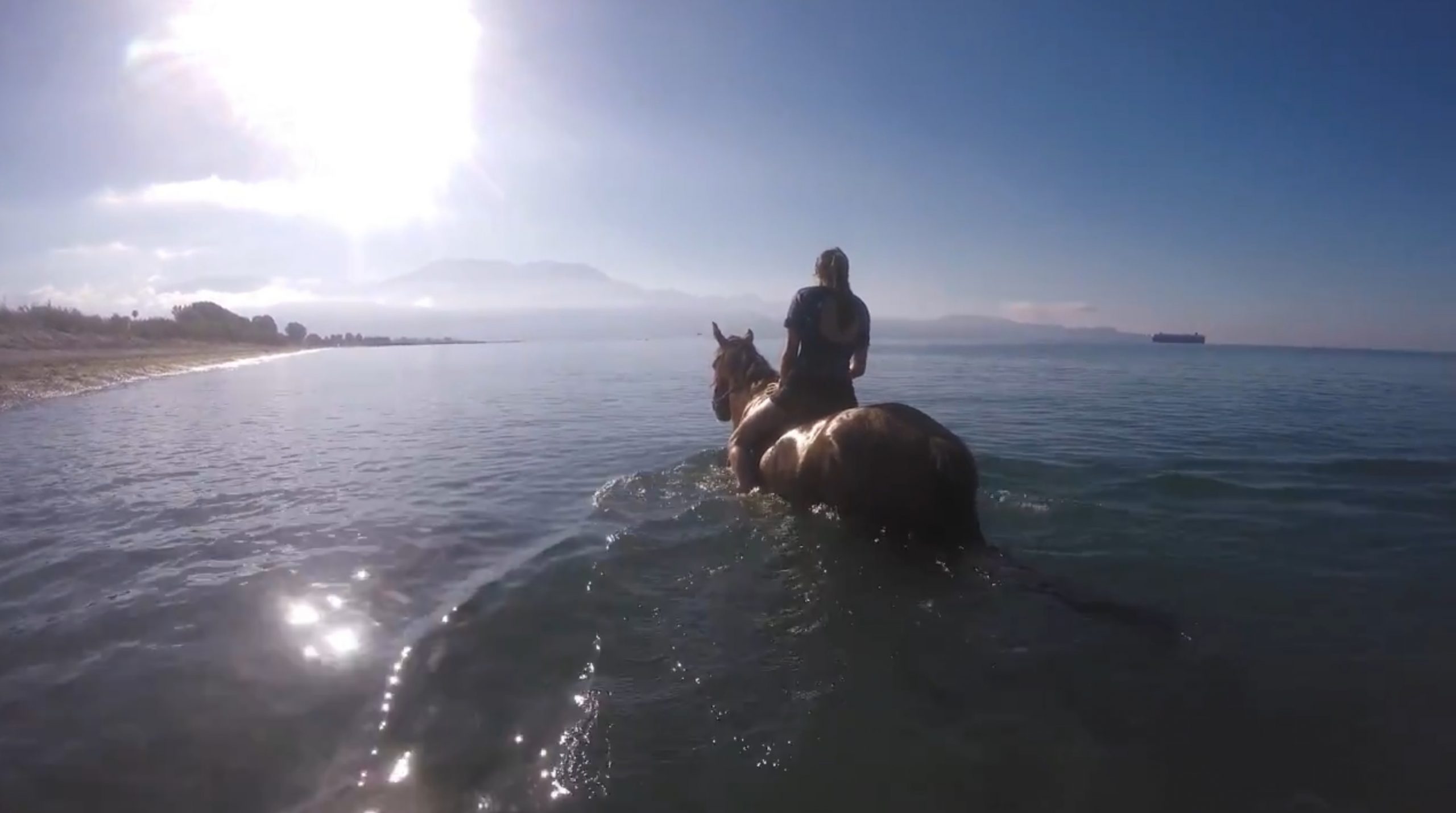 Horse In The Sea